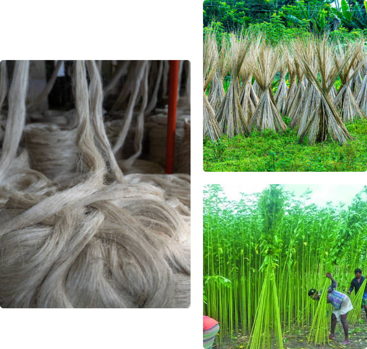 PlanetCareBD Manufacturing